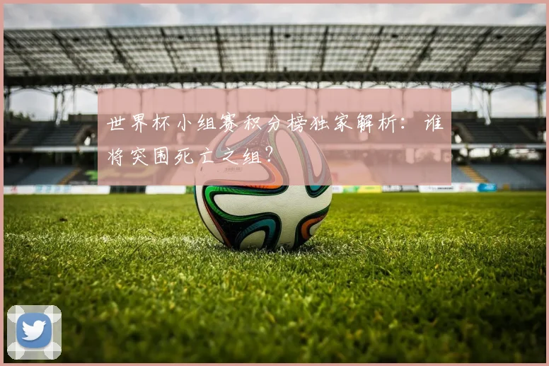世界杯小组赛积分榜独家解析:谁将突围死亡之组?