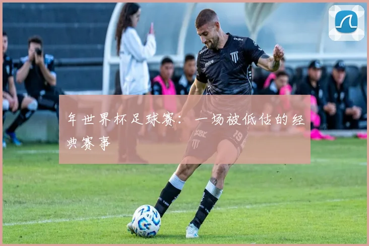 年世界杯足球赛:一场被低估的经典赛事