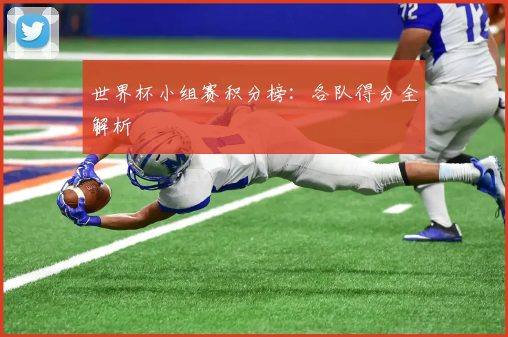 世界杯小组赛积分榜:各队得分全解析