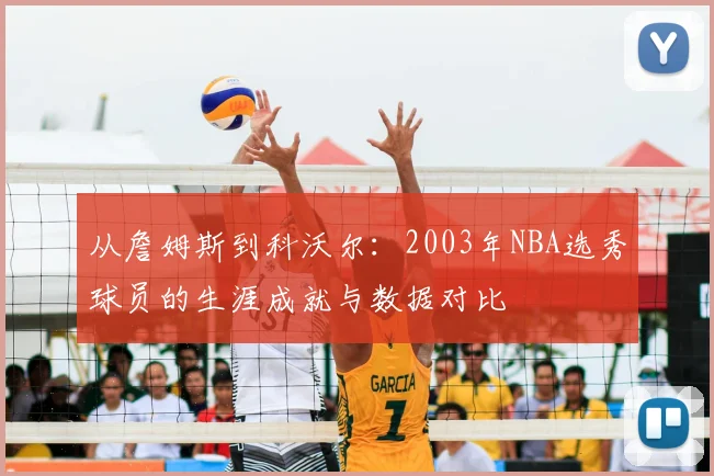 从詹姆斯到科沃尔：2003年NBA选秀球员的生涯成就与数据对比