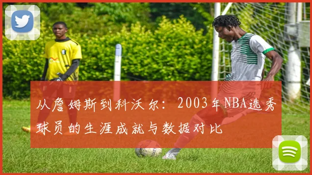 从詹姆斯到科沃尔：2003年NBA选秀球员的生涯成就与数据对比