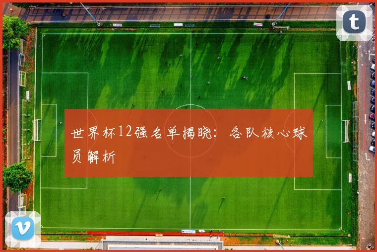 世界杯12强名单揭晓：各队核心球员解析