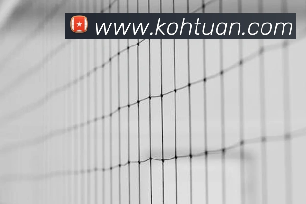 安博app登录入口网页版服务体系